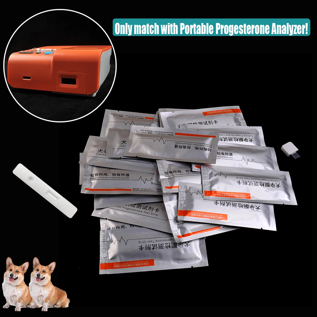 Canine Progesterone Test Strip - Hair Porosity Test บทวิจารณ์และราคา